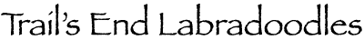 DeepFocus Logo